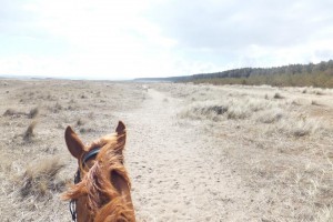 BHS Fife beach ride