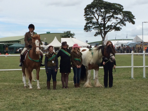 survivors parade lizzie & co