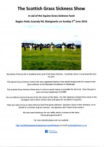 Sponsorship Poster 2016