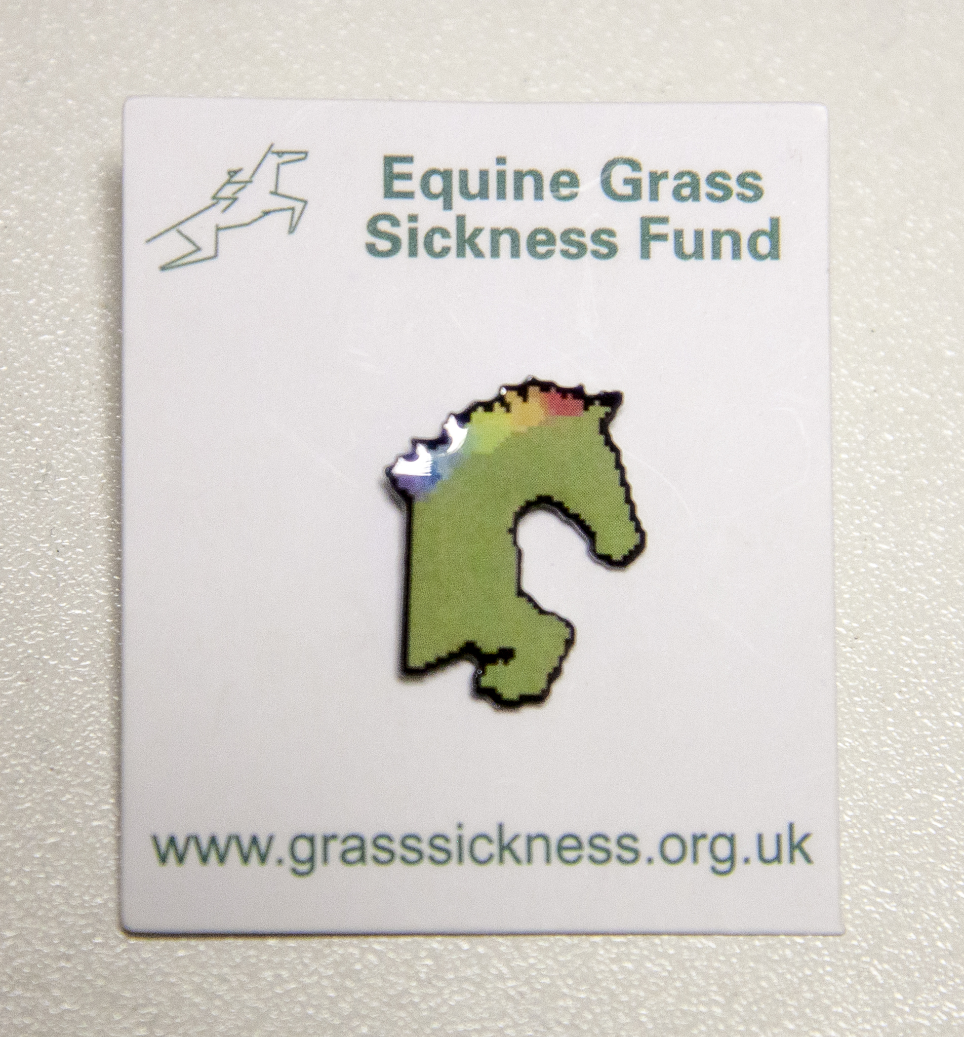 EGSF Lapel Badge