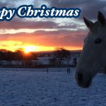 A horse contemplating the sunrise in a snowy scene