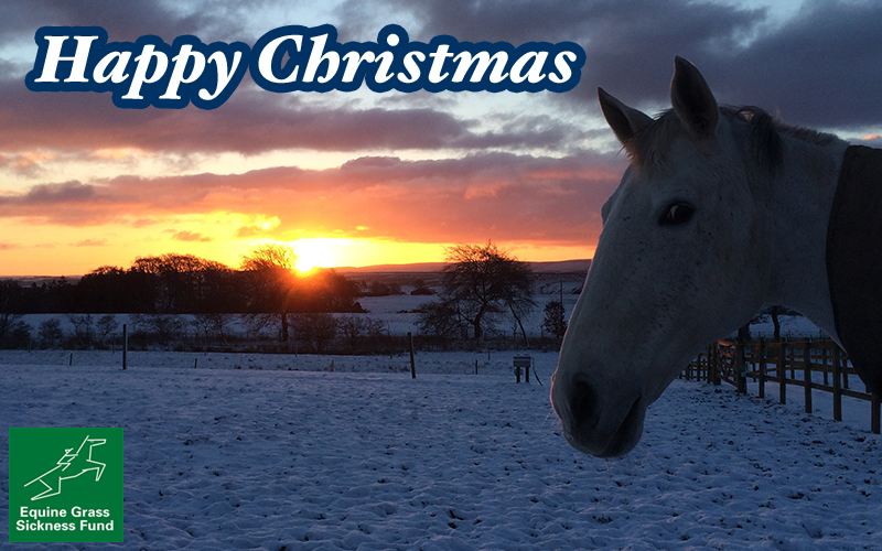 A horse contemplating the sunrise in a snowy scene