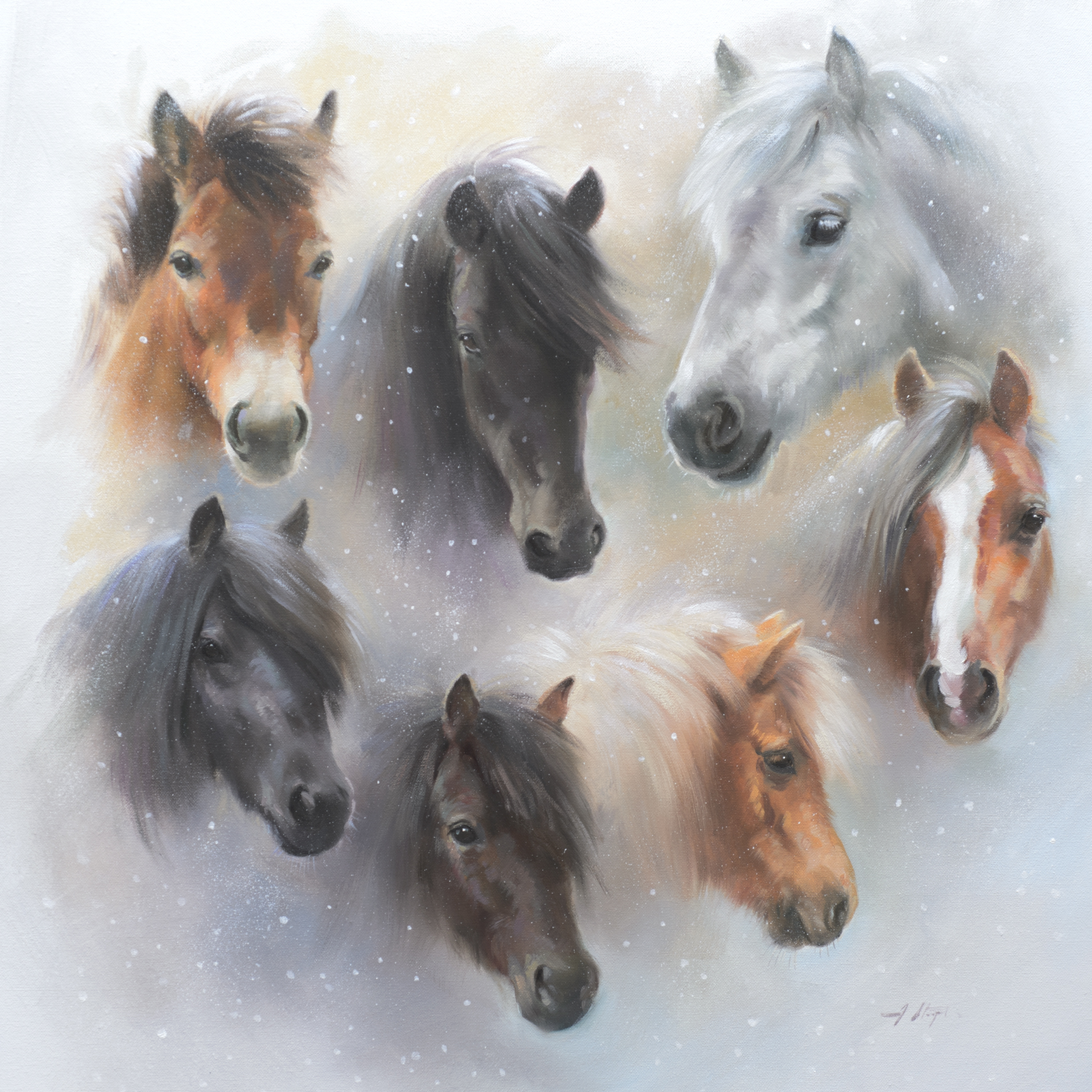 'British Native Ponies' Christmas card